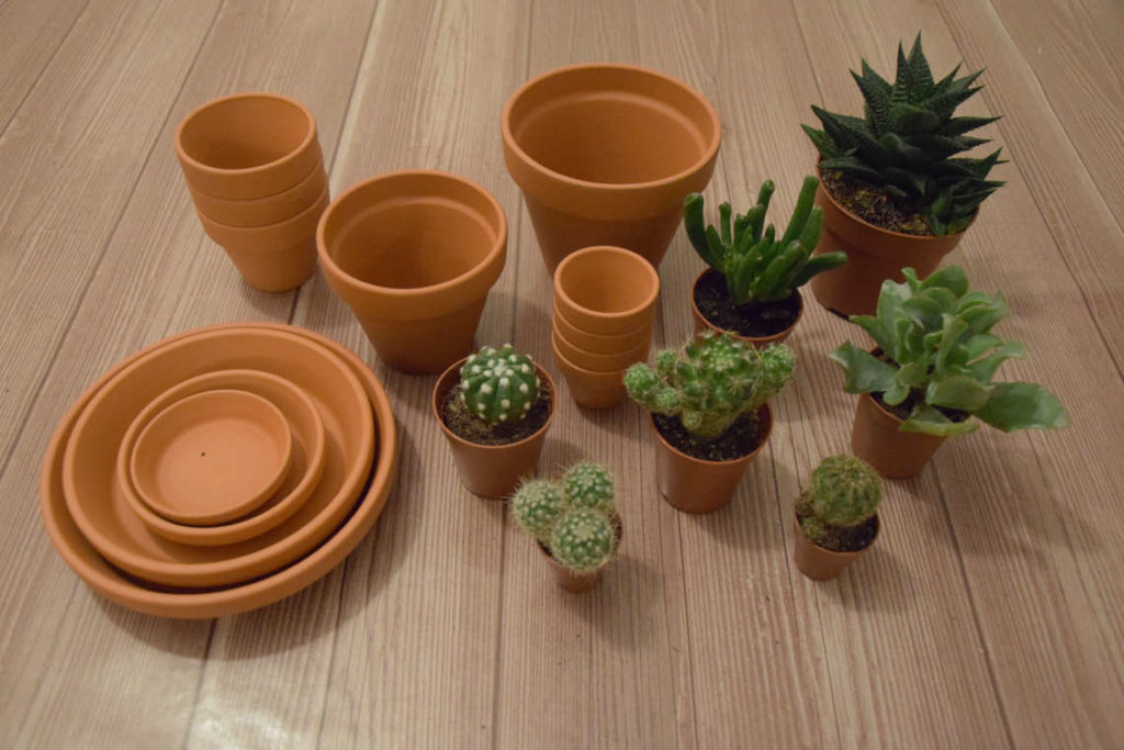 Benötigte Dinge DIY Mini Kakteen Tontopf Landschaft